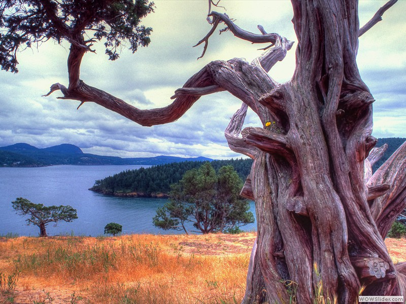 Washington Park, Anacortes, Washington