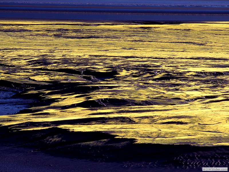 Turnagain Flats Algae, Alaska